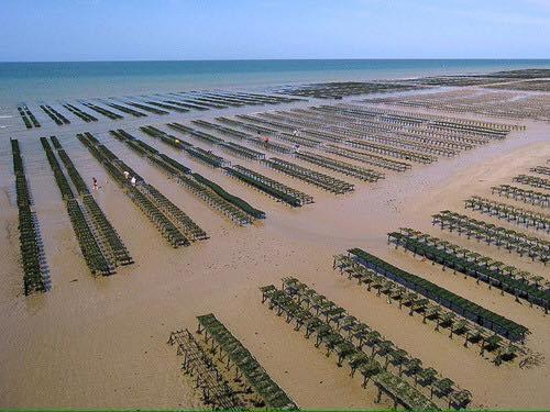 Sommervieu Les Pommiers Duplex Cosy Tout Confort Dans Maison Neuve Avec Terrasse Entree Independante 5 Mn De Bayeux Et 10 Mn Plage Du Debarquement מראה חיצוני תמונה