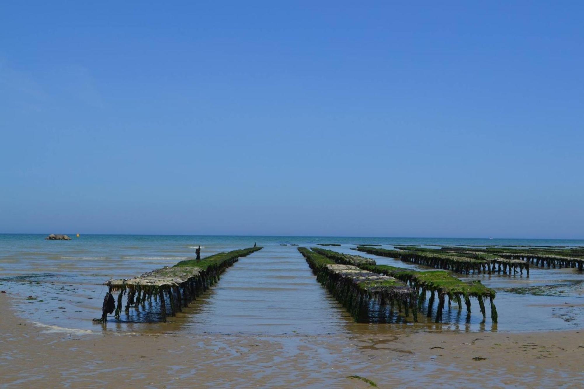Sommervieu Les Pommiers Duplex Cosy Tout Confort Dans Maison Neuve Avec Terrasse Entree Independante 5 Mn De Bayeux Et 10 Mn Plage Du Debarquement מראה חיצוני תמונה